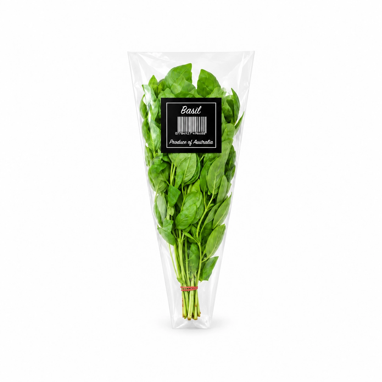 Grocerz - Fresh Basil Green | 1 Bunch