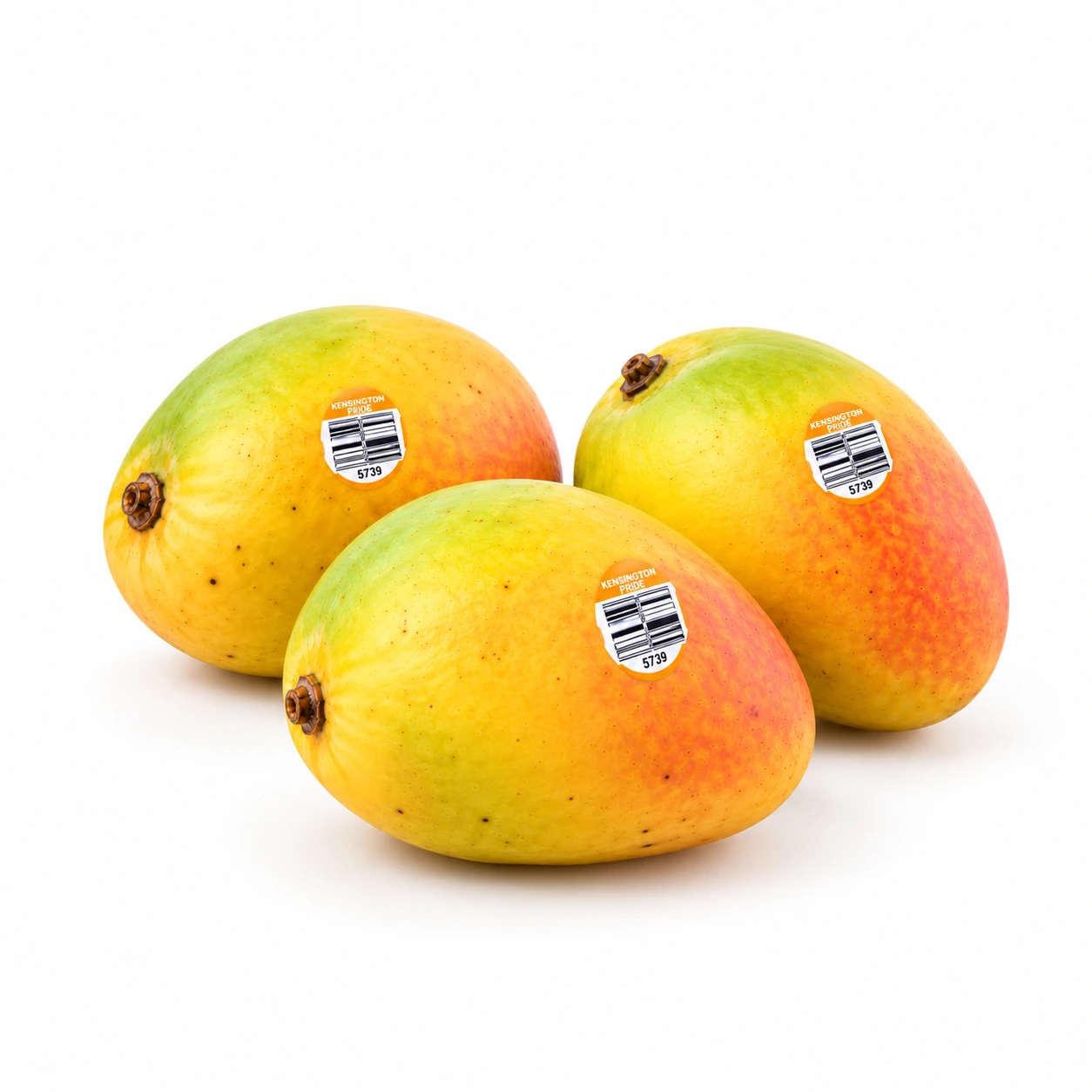 Grocerz - Mango Kensington Pride (Pack of 3) | 1 Pack