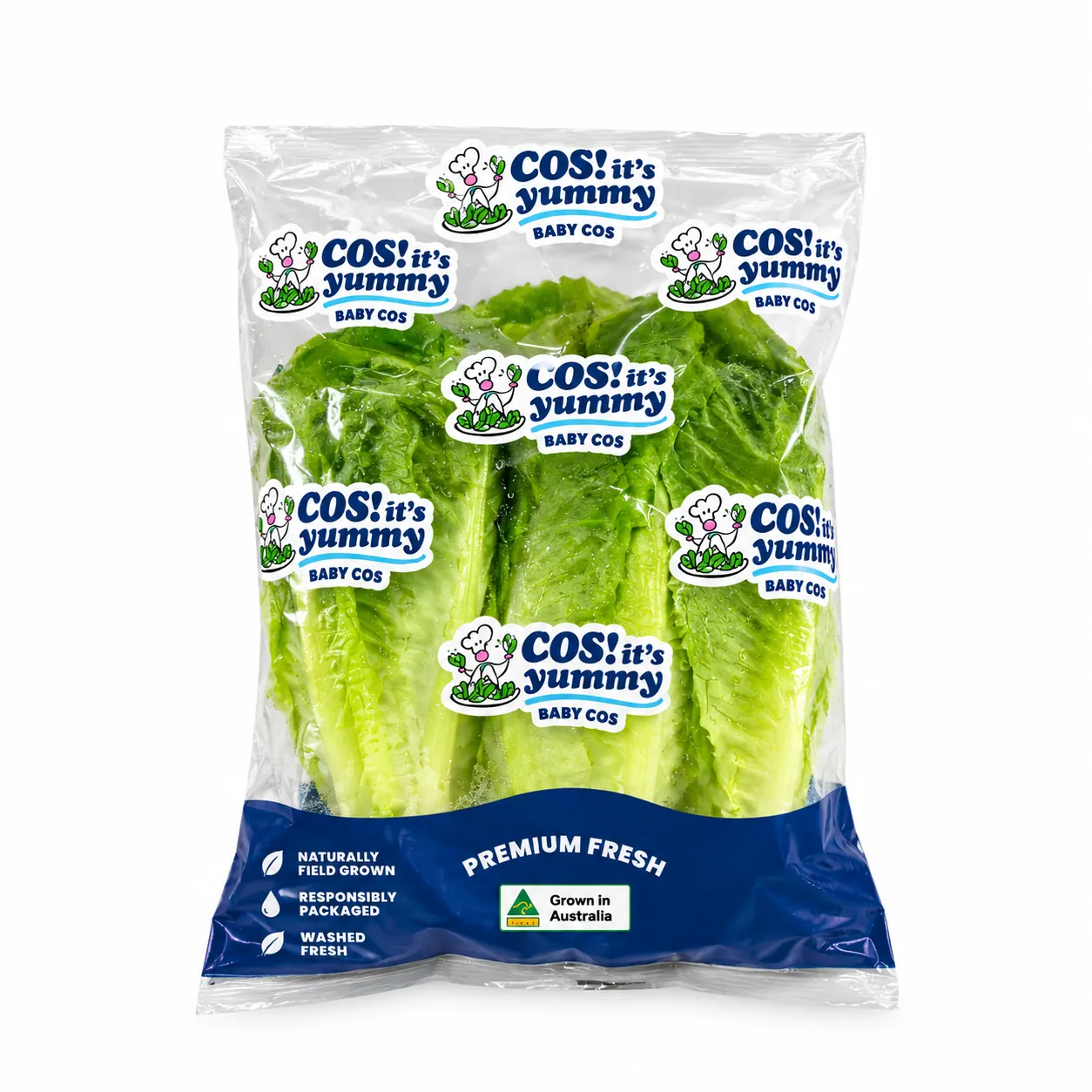 Grocerz - Lettuce Baby Cos Twin | 2 Pack