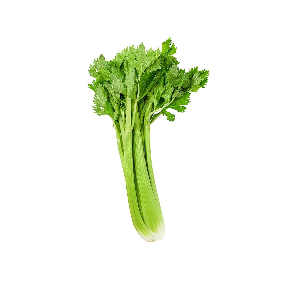 Grocerz - Celery | 1 Bunch