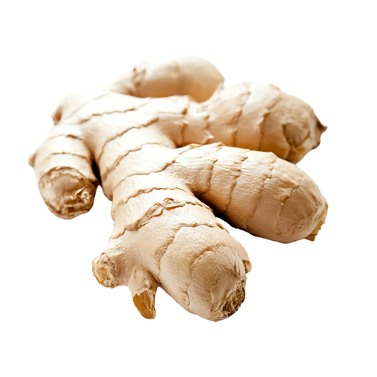 Grocerz - Ginger (220g-250g) | 1 Pack