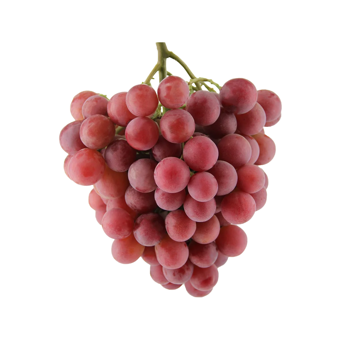 Grocerz - Grapes Red (approx 850g to 1kg) | 1 Pack