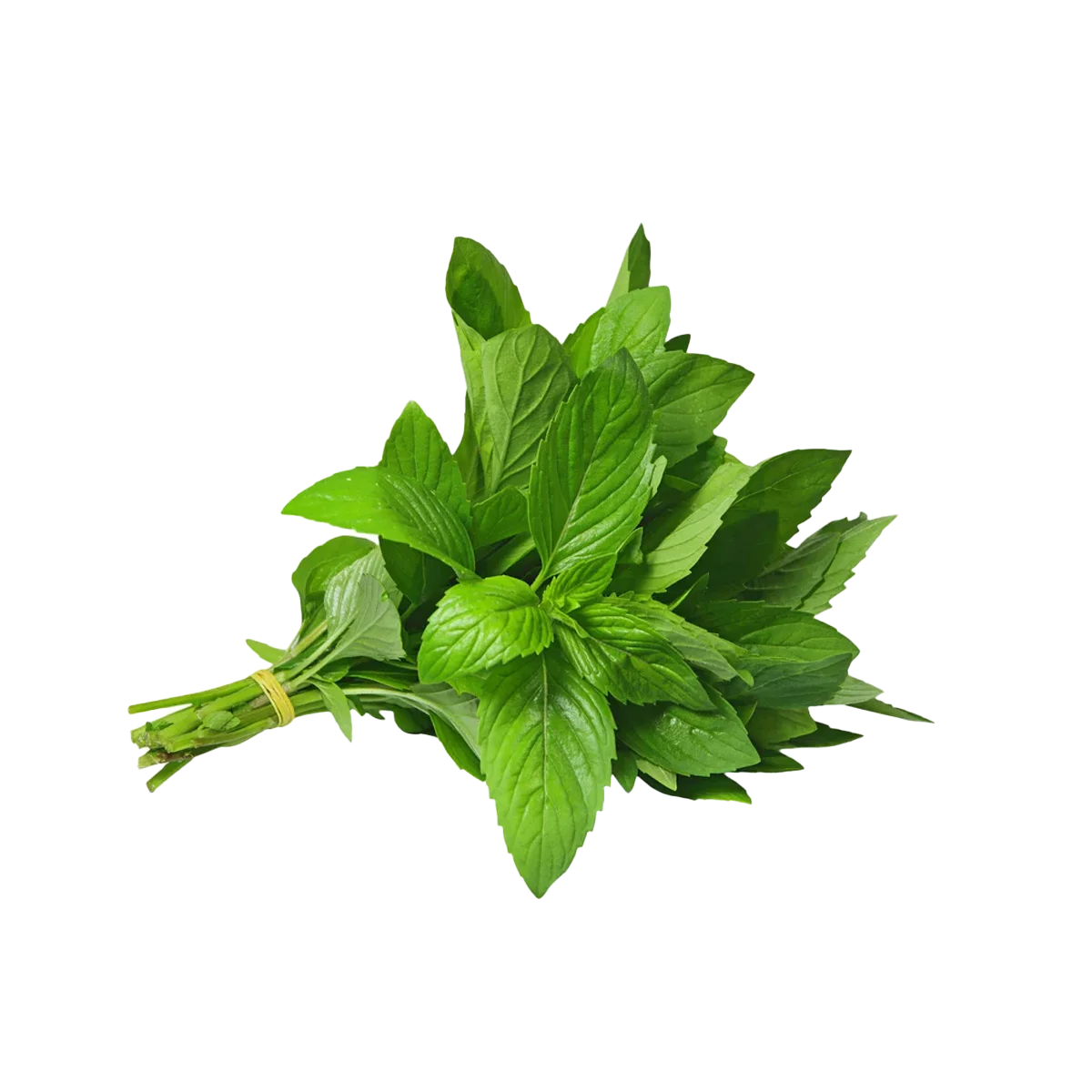 Grocerz - Mint Bunch | 1 Bunch