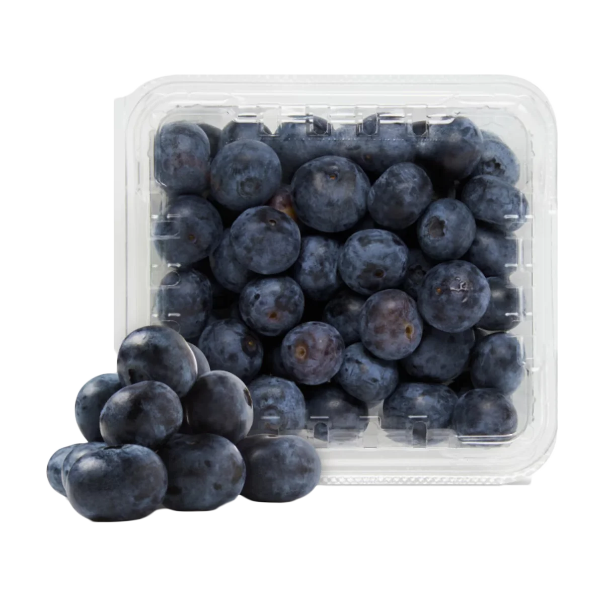 Grocerz - Blueberries Punnet | 1 Pack