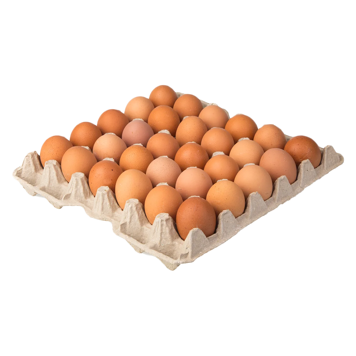 Grocerz - Caged 30 Eggs Tray | 1 Pack