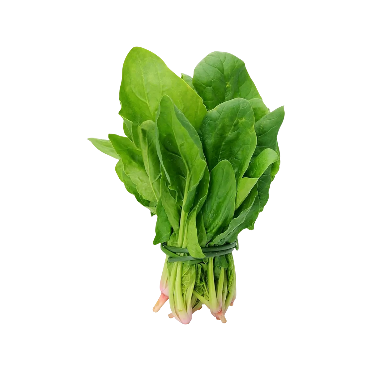 Grocerz - Indian Spinach Big Bunch | 1 Each