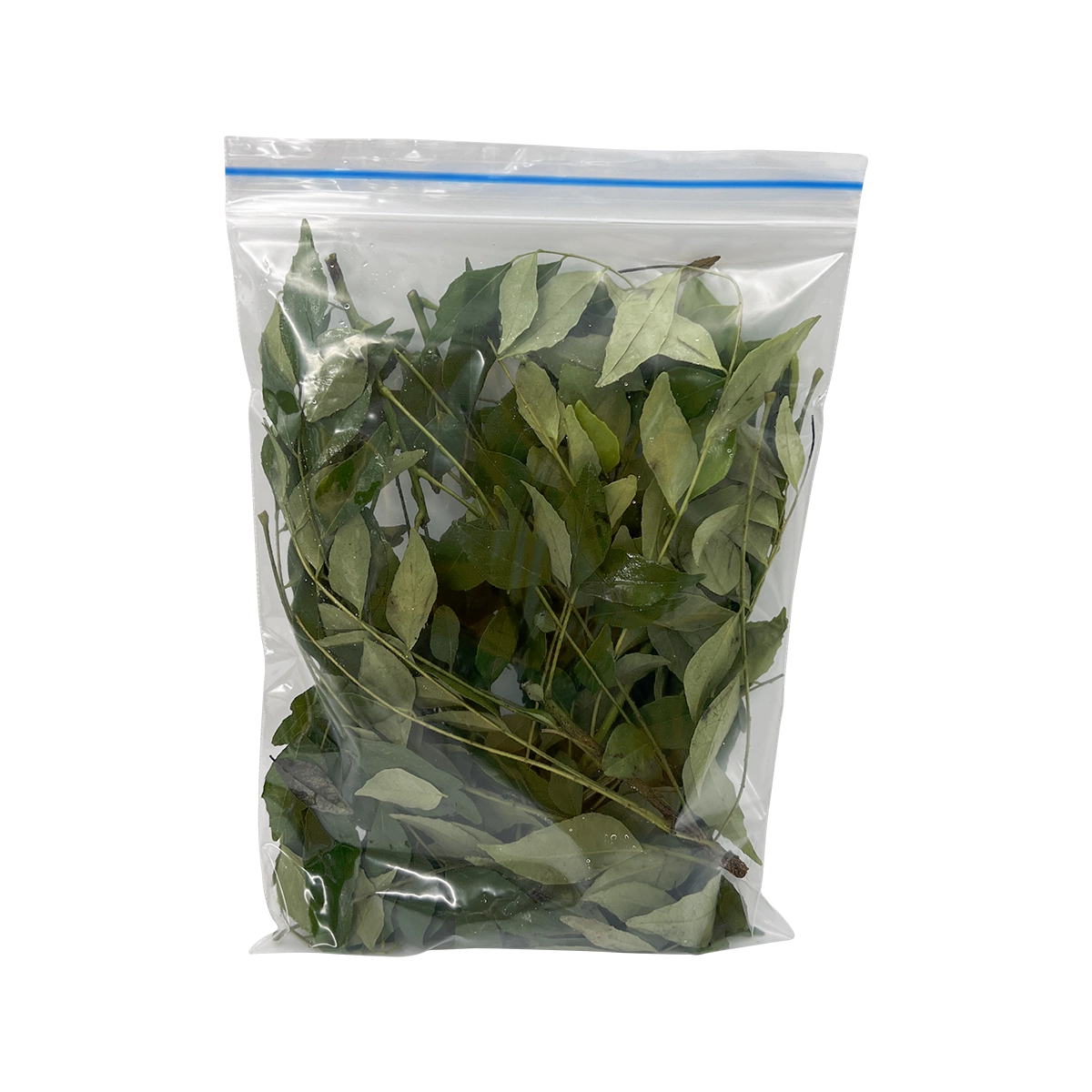 Grocerz - Curry Leaves (25-30g) | 1 Pack