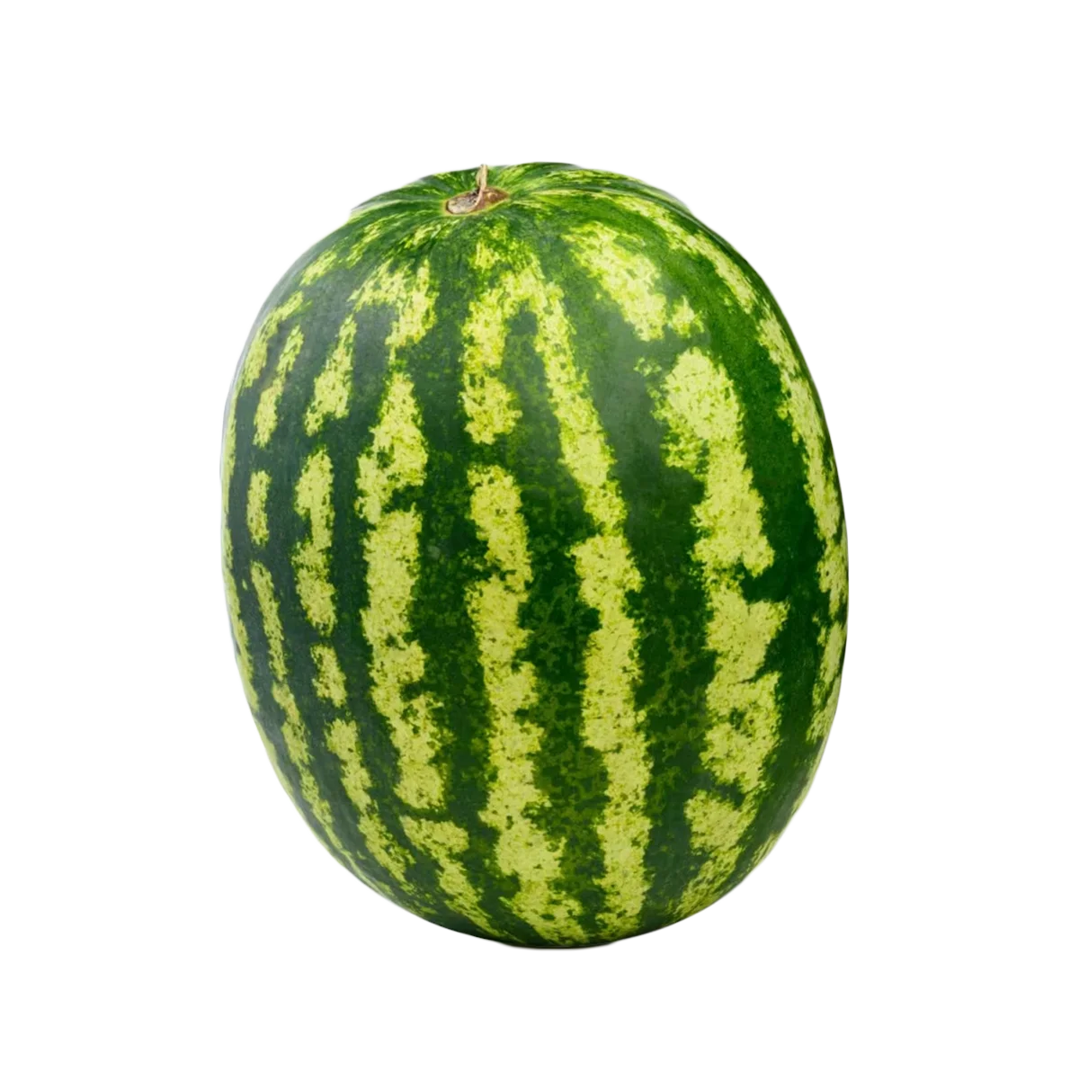 Grocerz - Watermelon Seedless Whole Medium (5.2kg to 7.8kg) | 1 Each