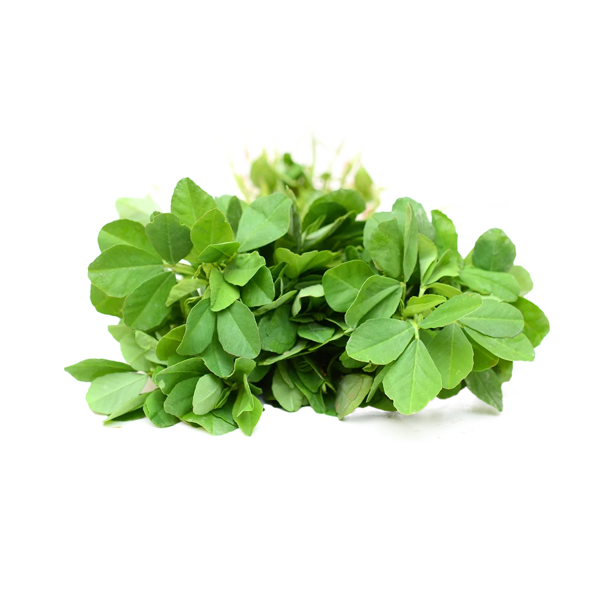 Grocerz - Fenugreek | 1 Each