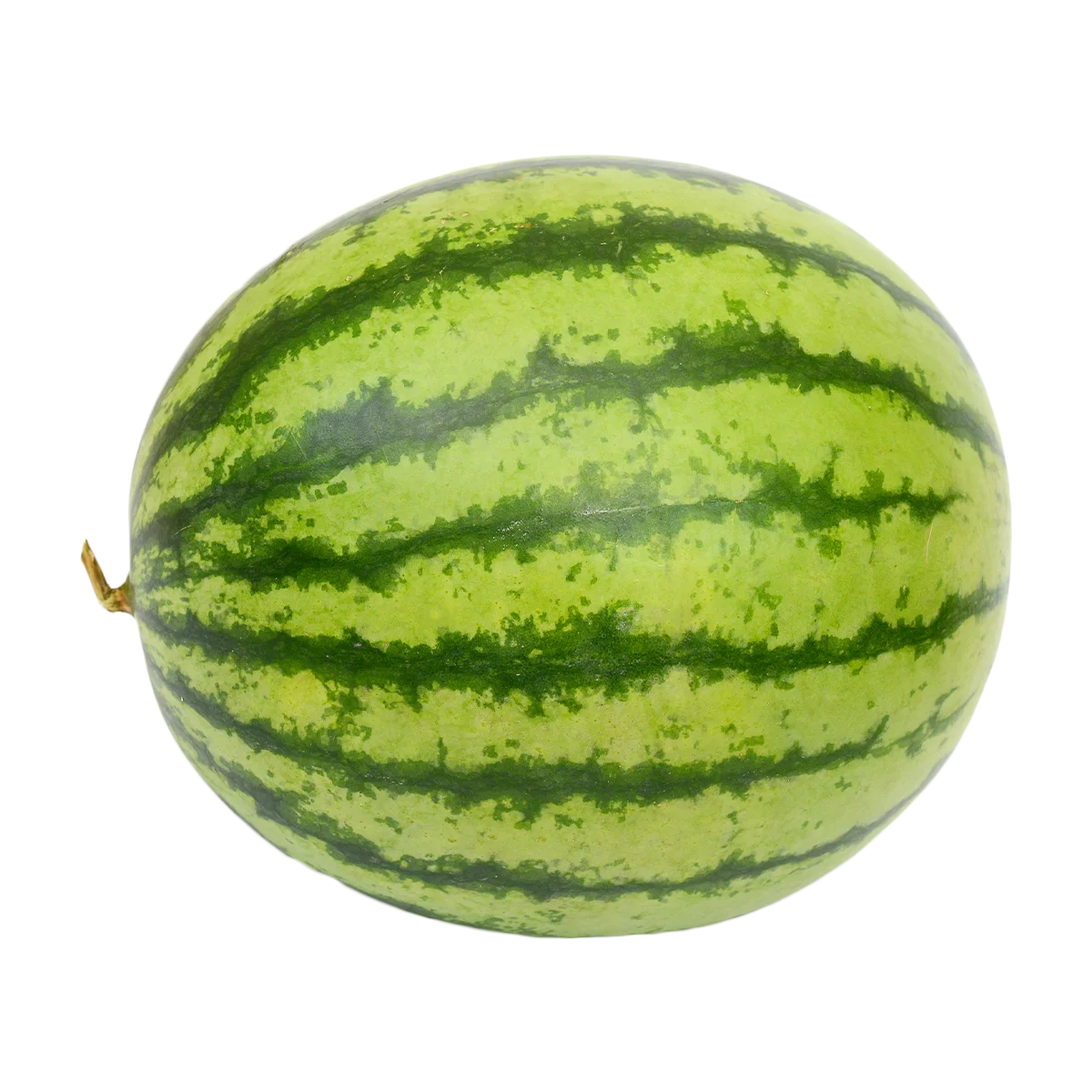 Grocerz - Watermelon Seedless Whole Big (10.5kg-11.5kg) | 1 Each