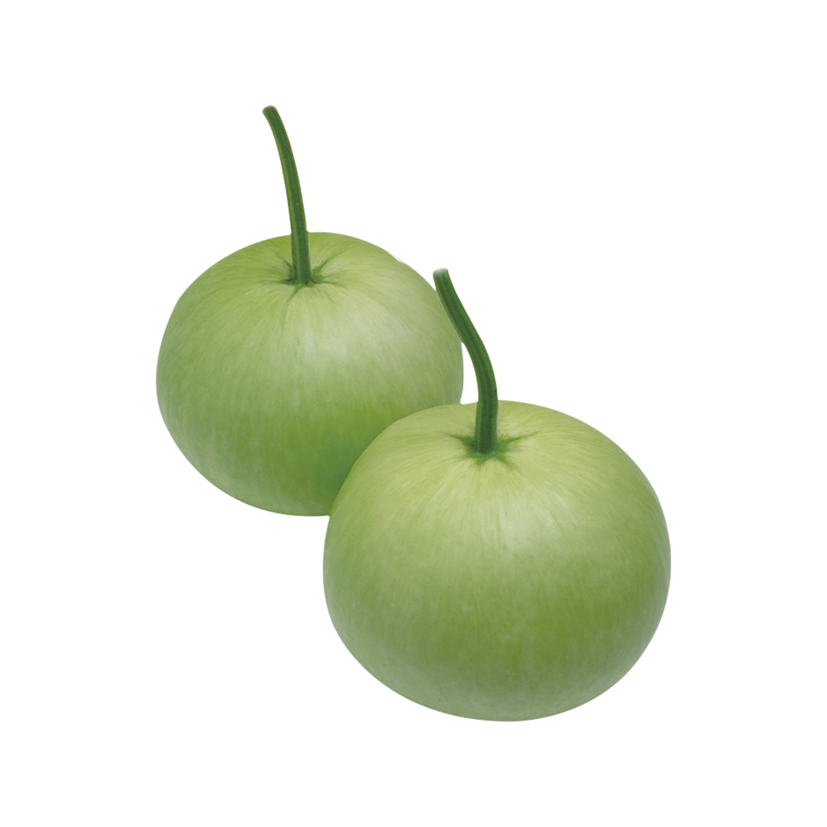 Grocerz - Gol Ghiya Round Melon (approx 750g to 950g) | 1 Each