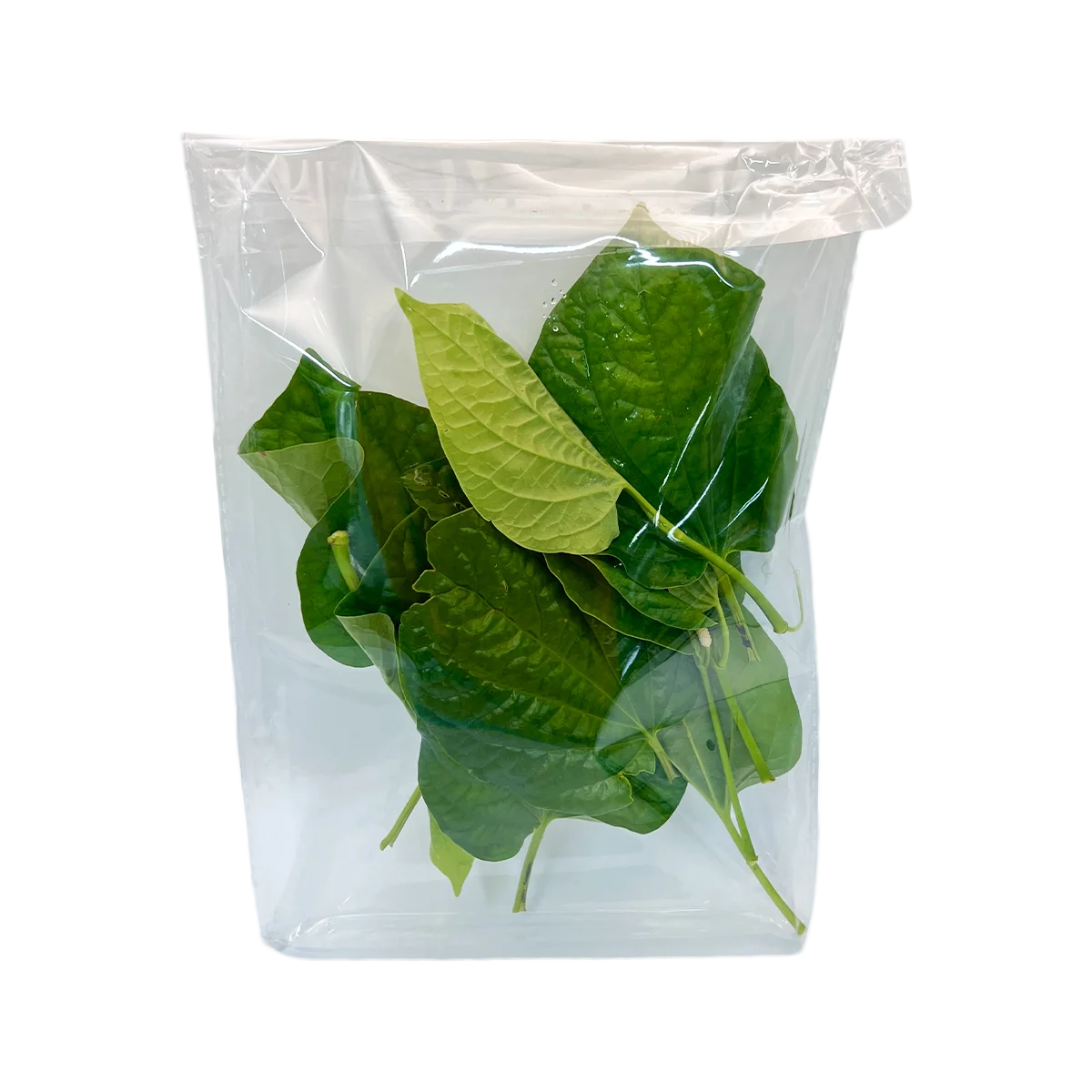 Grocerz - Fresh Betel Leaves (approx 8 to 10 leaves) | 1 Pack