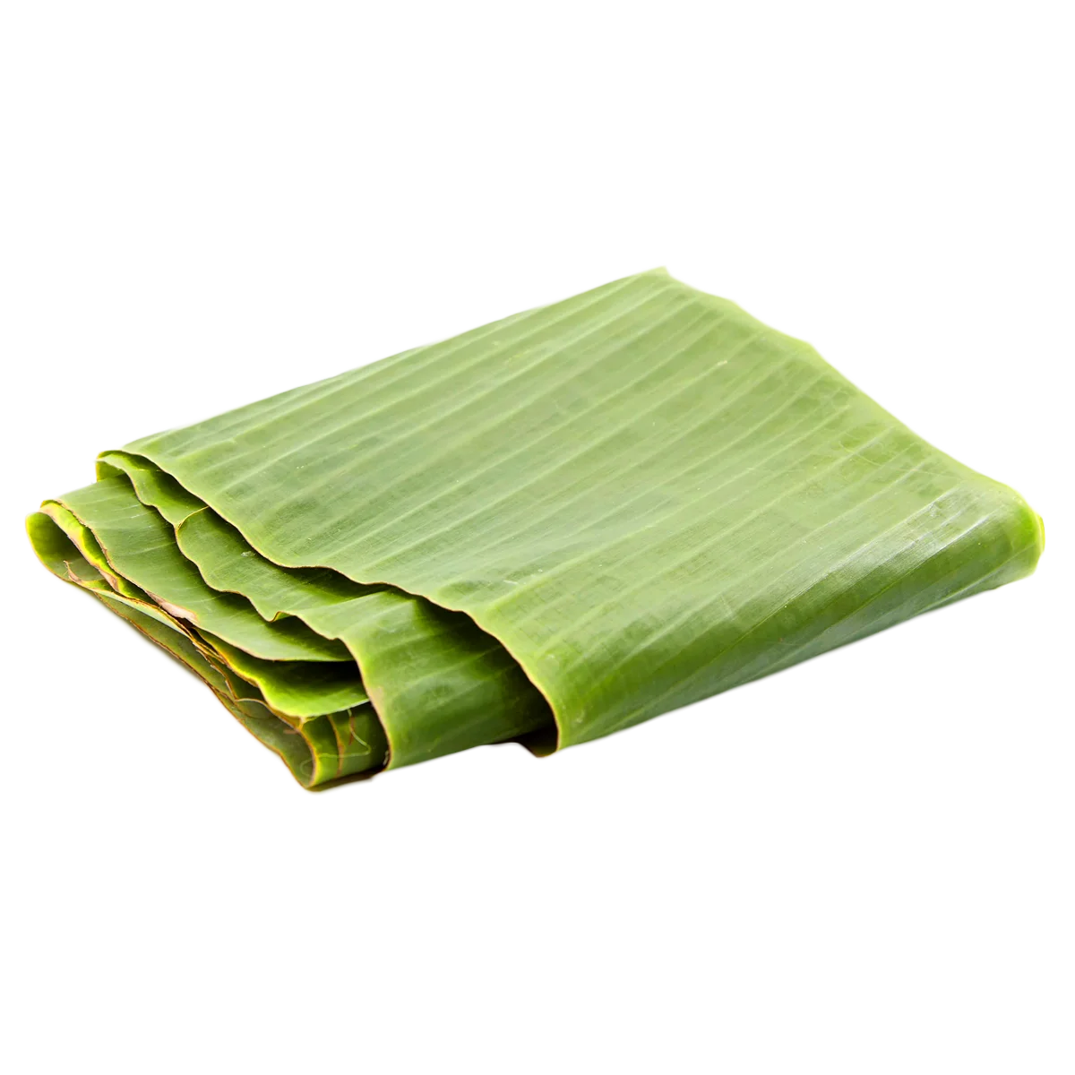 Grocerz - Fresh Banana Leaves (approx 90g to 110g) | 1 Pack