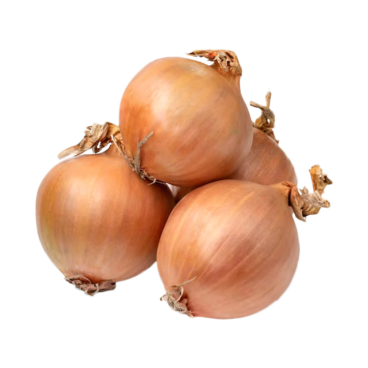 Grocerz - Onion Brown (900g to 1kg) | 1 Pack