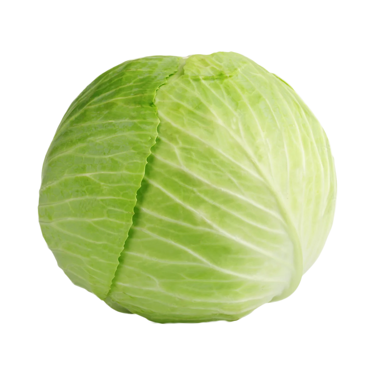 Grocerz - Cabbage Plain Whole | 1 Each