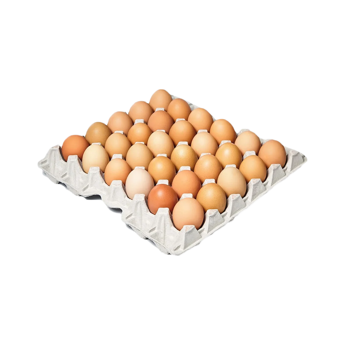 Grocerz - Cage Free 30 Eggs Tray Large 1.8kg | 30 Pack