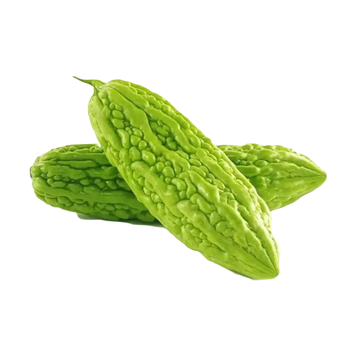 Grocerz - Bitter Melon Karela (approx 450 to 550g) | 1 Pack