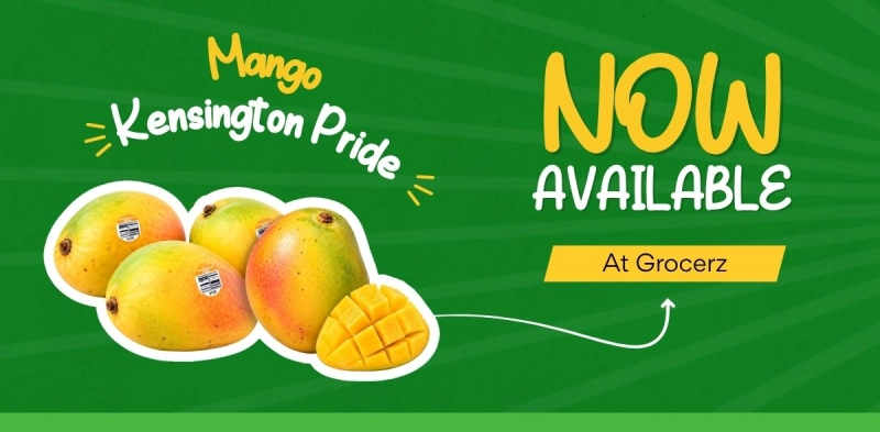 free delivery banner